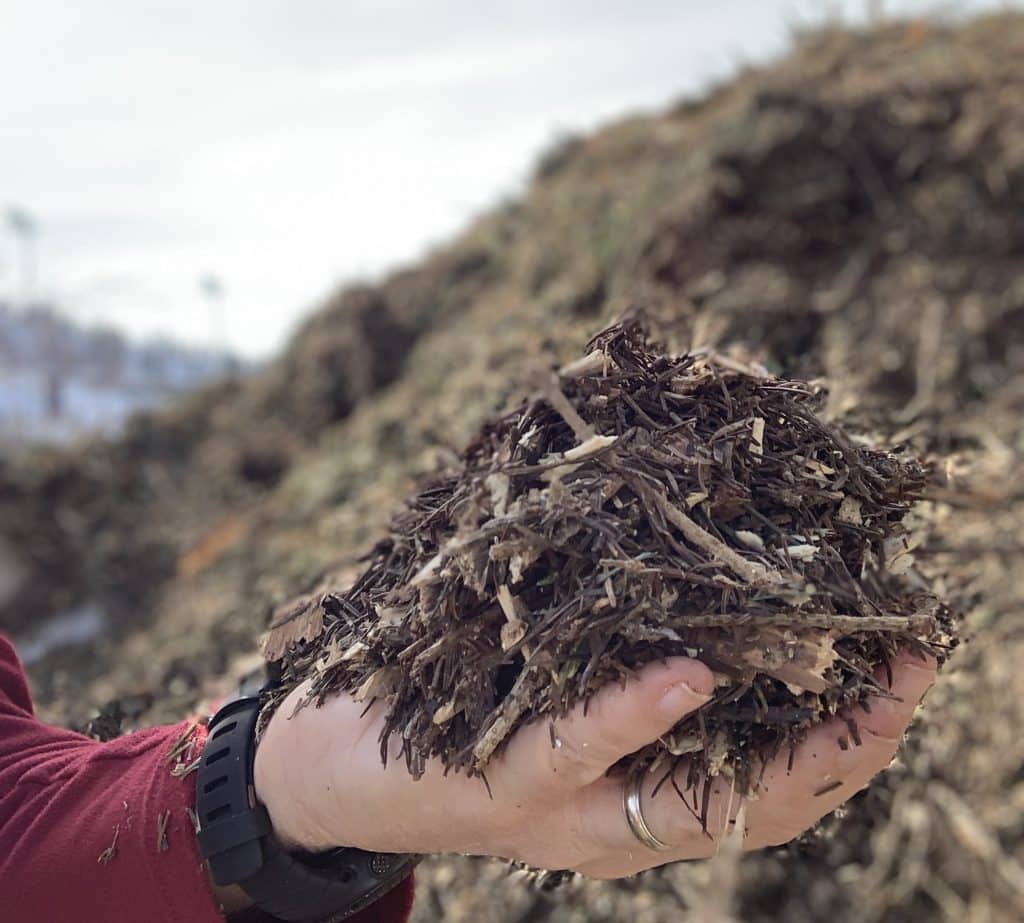Steamboat’s free mulch now available yearround